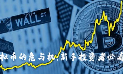 炒虚拟币的危与机：新手投资者必看指南